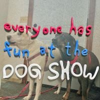 patchymate - dog show, runt