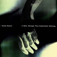 Youth Novel - I Went Through This Experience Smiling