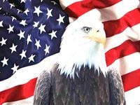 🤡 - USA PATRIOTS 2026