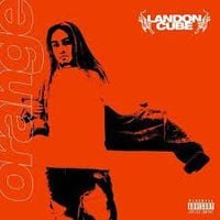 Landon Cube - 17