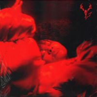 Yseult - Rouge
