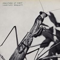 Courtney Barnett - Site Unseen