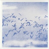 Lieven Martens Moana / Dolphins Into the Future - Songs of Gold, Incandescent