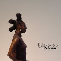 Zenesoul - Is It Fun For You?