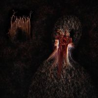 The Pilgrims Of Carossa - Hypnodontia