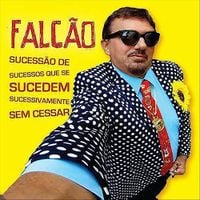 Falc&atilde;o - Sucess&atilde;o de Sucessos Que Se Sucedem Sucessivamente Sem Cessar