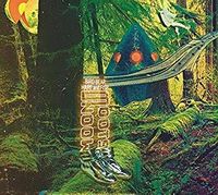 Bird Bear Hare And Fish - Moon Boots