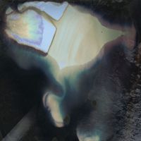 S&Oslash;S Gunver Ryberg - Entangled