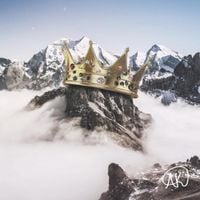 AK - Like I Got It
