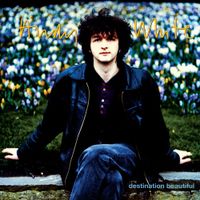 Andy White - Destination Beautiful