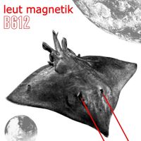 Leut Magnetik - B612