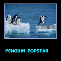 coki - PENGUIN POPSTAR