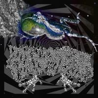 Phyllomedusa - The Deflowering of Concrete