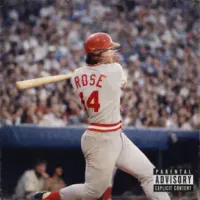 Mic Gutz - Rose