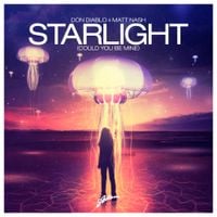 Don Diablo - Starlight (Could You Be Mine)