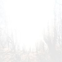 Also, be safe - ∙ pendulum ∙