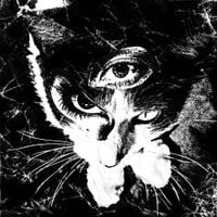東京酒吐座 [Tokyo Shoegazer] - Remains