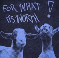 imnotvrycreative - FOR WHAT ITS WORTH (Deluxe)