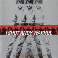 Various Artists - I Shot Andy Warhol