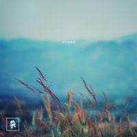 Shingo Nakamura - Cautious Love