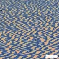 &aelig; - a trip around the sun.