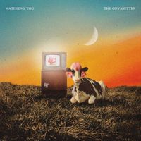 The Covasettes - Watching You