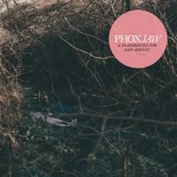 Phoxjaw - A Playground For Sad Adults