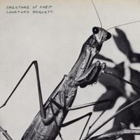 Courtney Barnett - Creature of Habit