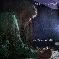 Bill Callahan - Stepping out for Air