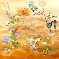 Whip Appeal - Cut Flowers