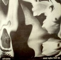 Silvania - Miel nube hiel