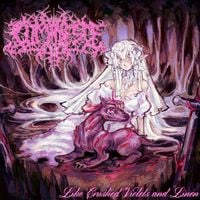 Luminesce - Like Crushed Violets and Linen