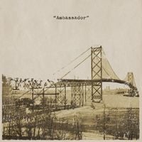 Zivsick - Ambassador