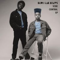 Blue Lab Beats - Vibes Central