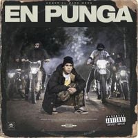 Homer El Mero Mero - En Punga