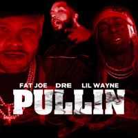 Fat Joe - Pullin