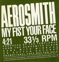 Aerosmith - My Fist Your Face