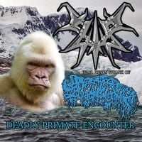 Primate Strangulator - Deadly Primate Encounter