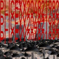Plumborx2008 - plicexx204821982