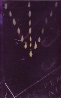 Heatsick - Perpendicular Rain