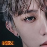 8TURN - BRUISE