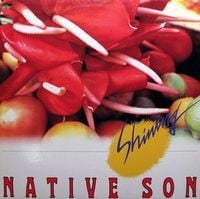 Native Son - Shining