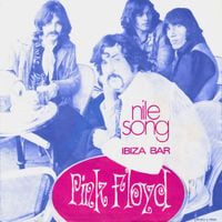 Pink Floyd - The Nile Song