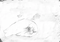 pinniped - i wish it could be you
