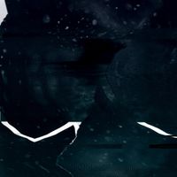 Seeded Vision - When Winter Comes