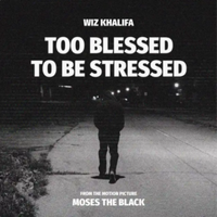 Wiz Khalifa - Too Blessed to be Stressed