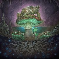 Toadface - Mycelium Network