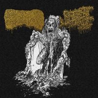 Lymphoedema - Split With Sentient Rot