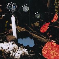 Quiet Commotion - Spring
