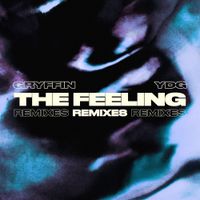 Gryffin - The Feeling (Remixes)